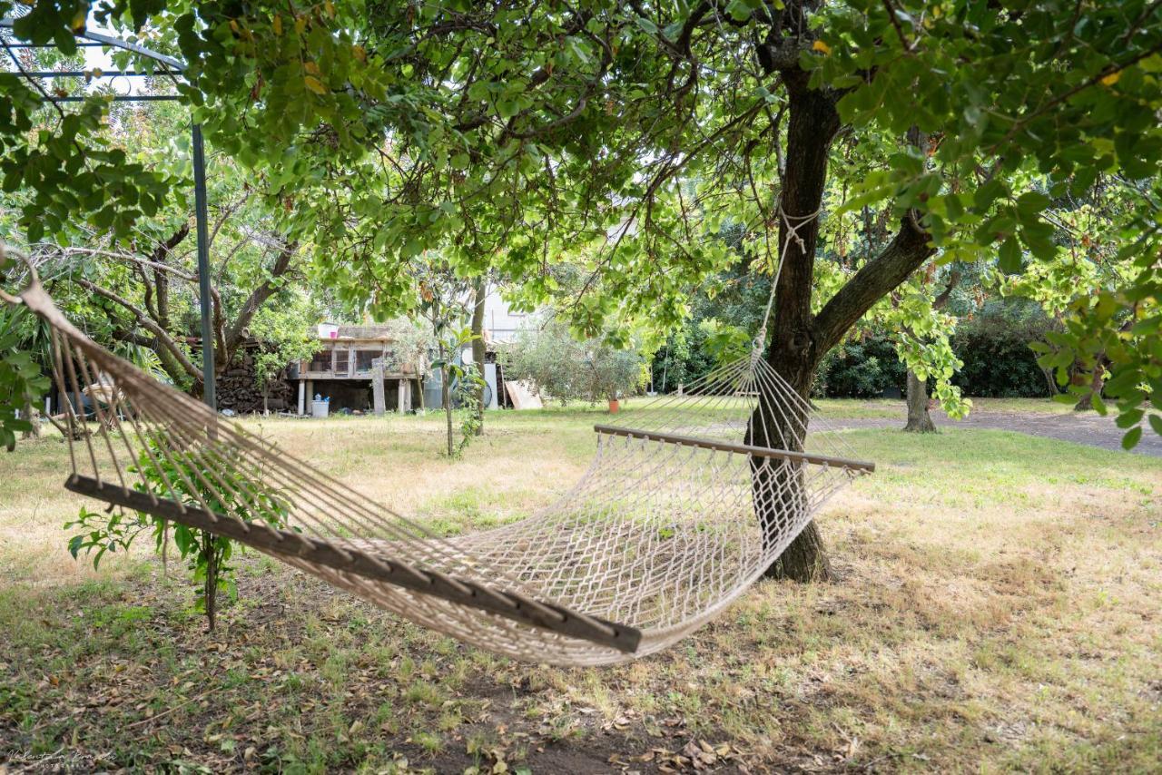 טורה דל גרקו Villa Vesuviana מראה חיצוני תמונה